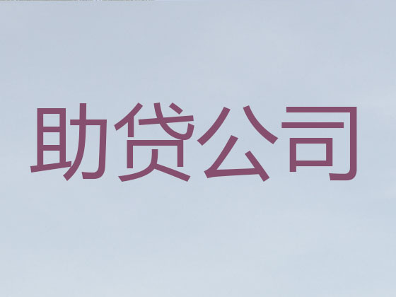 阿里信用贷款-本地贷款公司